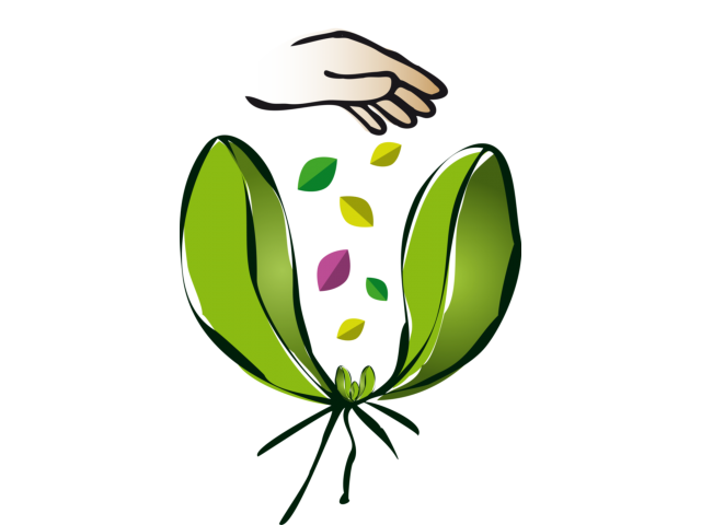roulleaucab